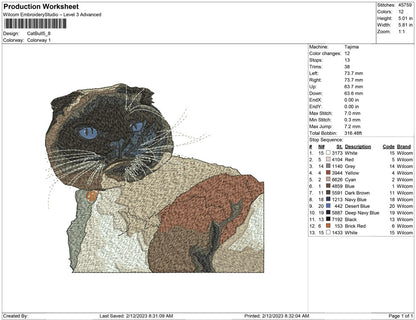 Cat bull