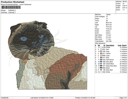 Cat bull
