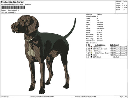 Dog Look