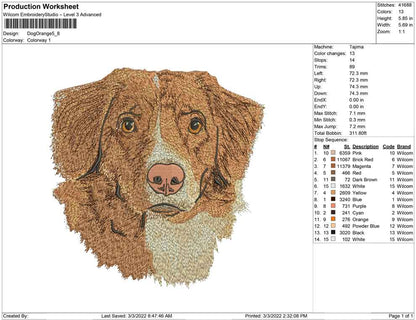 Dog Orange