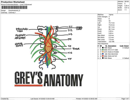 Grey Anatomi