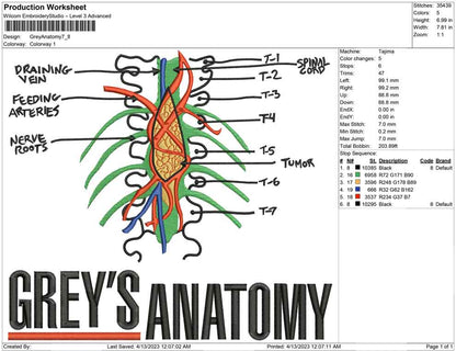 Grey Anatomi