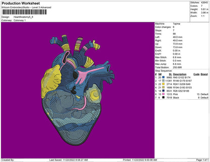 Anatomi Heart Art