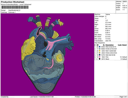 Anatomi Heart Art