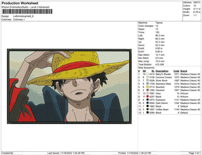 Luffy Holding Hat