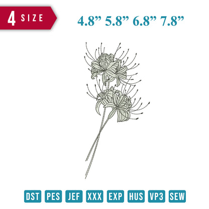 Spider Lily Flower