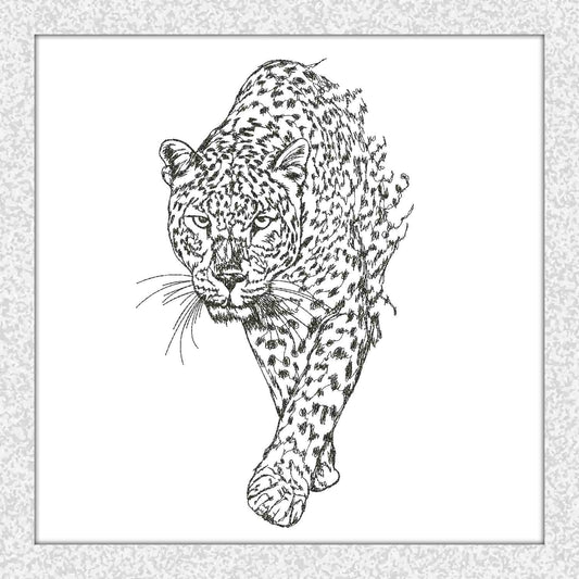 Leopard / tiger