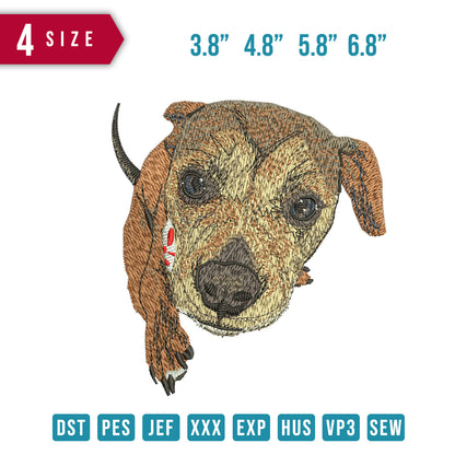Dog 9