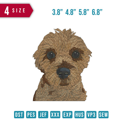 Dog 10