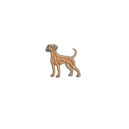 Dog mini