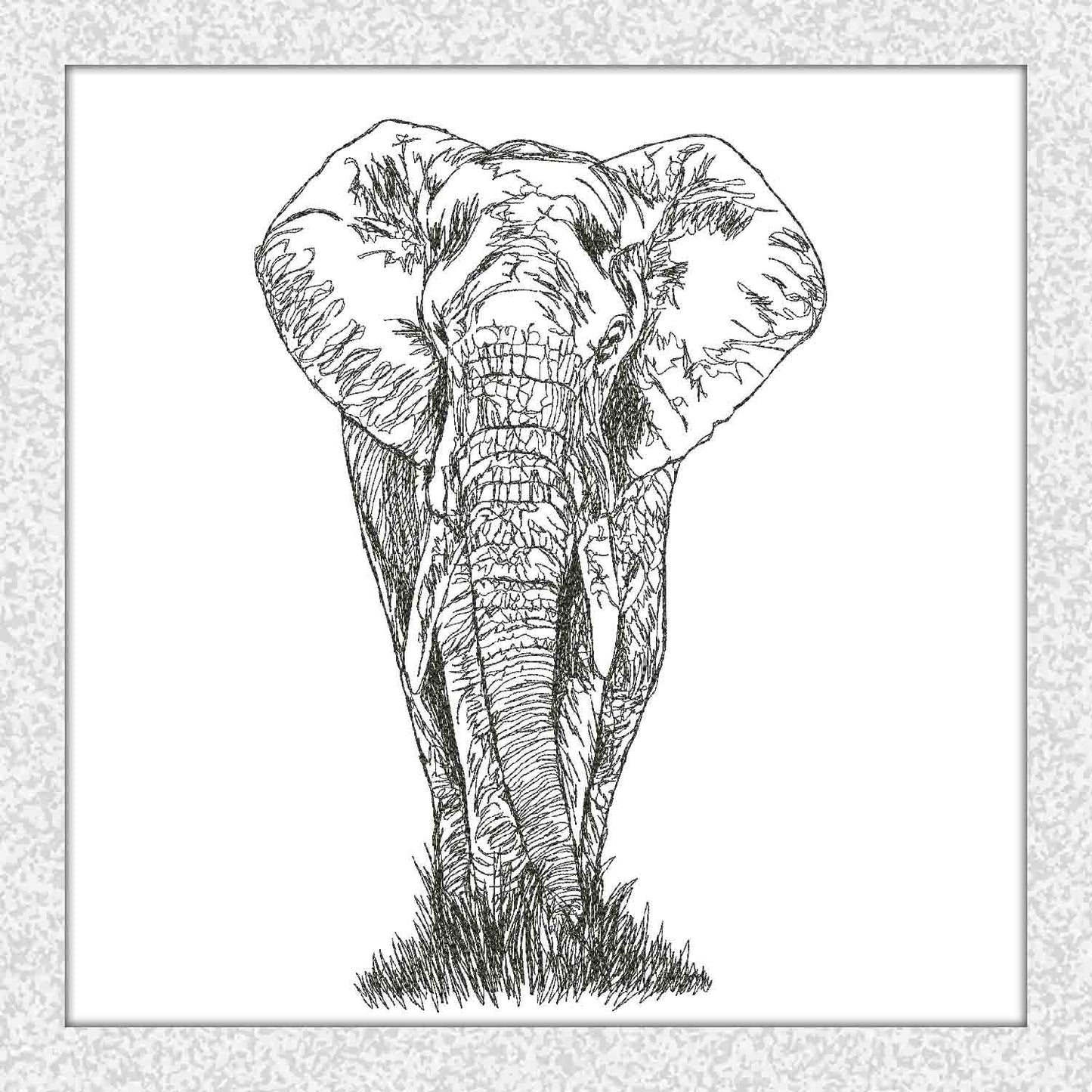 Elephant Scribble
