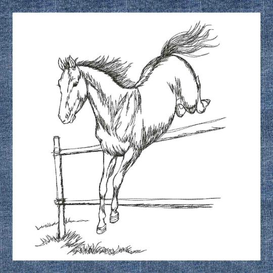 Horse Jump Scribble