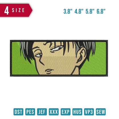 Levi Glance box