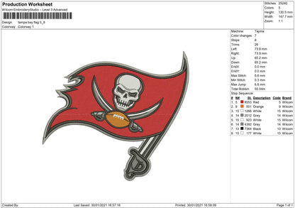 Tampa bay skull Flag