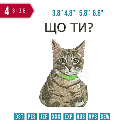 wotn? cat